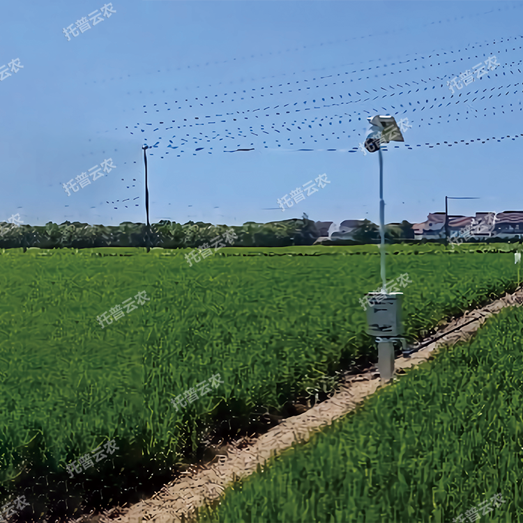 自動趕蛾智能統(tǒng)計桿